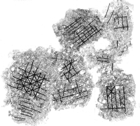 図2 公卿石上面の線刻