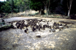 遺物出土状況