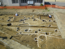 竪穴住居と掘立柱建物