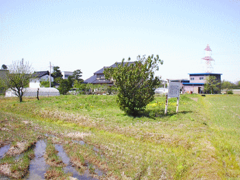 現在の栗山塚