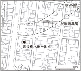 埋没樹木の出土地と旧地形復元