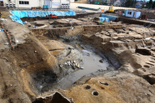 新庄城4期の堀