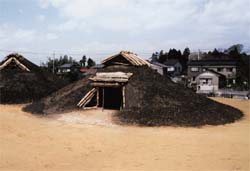 整備された土葺きの竪穴住居