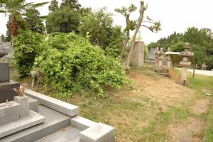土塁の現況