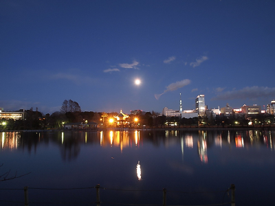 不忍池の月景観1
