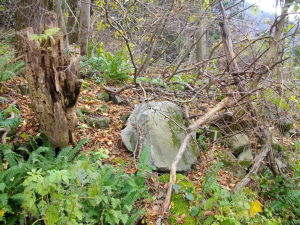 神通峡の山中礫