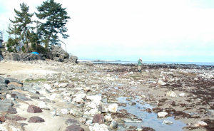 太田石丁場の一つ雨晴岩(義経岩)