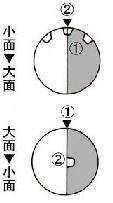 模式図(二分割)