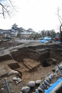 調査区の全景