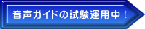 音声ガイドの試験運用中!