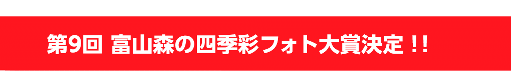 第9回とやま森の四季彩フォト大賞決定