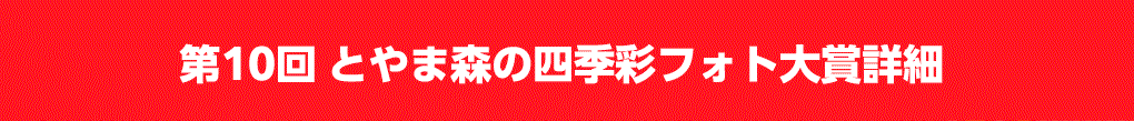 第10回とやま森の四季彩フォト大賞詳細へ