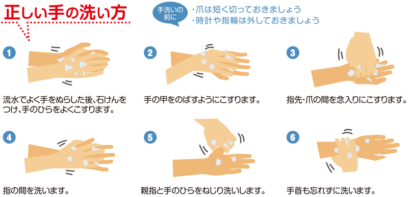 正しい手の洗い方
洗い終わったら、十分に水で流し、清潔なタオルやペーパータオルでよく拭き取って乾かします。

出典:首相官邸ホームページより