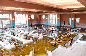 写真：角川介護予防センターの多機能温泉プール