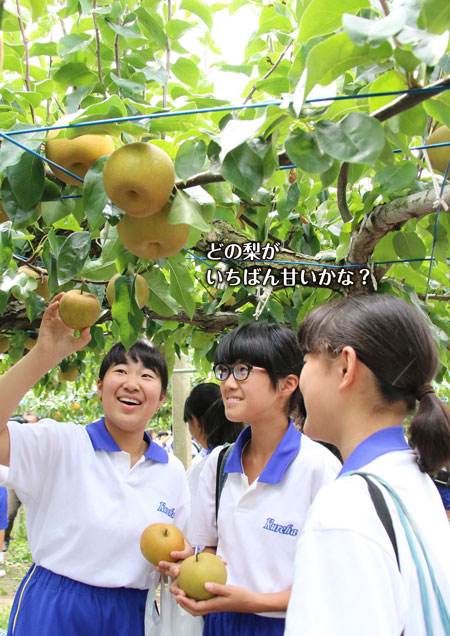 表紙写真：呉羽中学校の生徒による呉羽梨の収穫体験
	  コピー：どの梨がいちばん甘いかな？