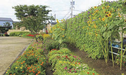 写真：花いっぱいコンクール
	  ［一般部門］文京町公園愛護会