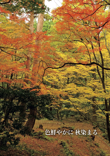 表紙写真：寺家公園
	コピー：色鮮やかに 秋染まる