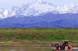 写真：身近で感じられる富山の風景