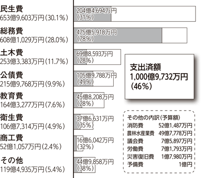 歳出 （目的別）