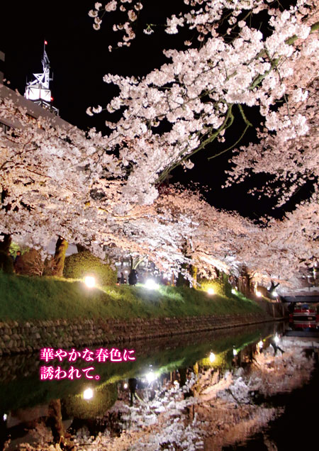 表紙写真：松川べりの夜桜　コピー：華やかな春色に誘われて。