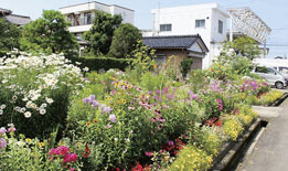 写真：花いっぱいコンクール
	  ［一般部門］寺﨑啓乃さん