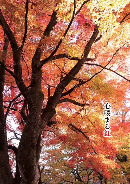表紙写真：城ケ山公園　コピー：心暖まる紅