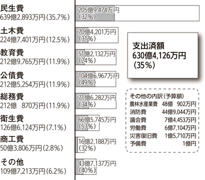 画像：歳出 （目的別）