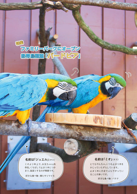 表紙写真：ファミリーパークにオープン 熱帯鳥類館「バードピア」