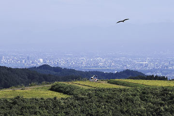 受賞作品：「天空の棚田」酒井正夫さん