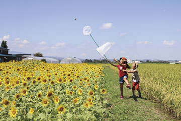 受賞作品：「ボクらの夏の思い出」戸田美香さん 