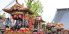 画像：越中八尾 曳山祭の様子