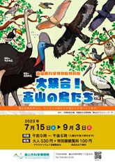 ポスター：特別展「大集合！富山の鳥たち」