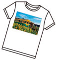 イラスト：Tシャツ