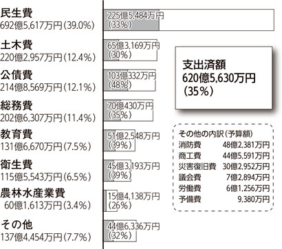 画像：歳出 （目的別）