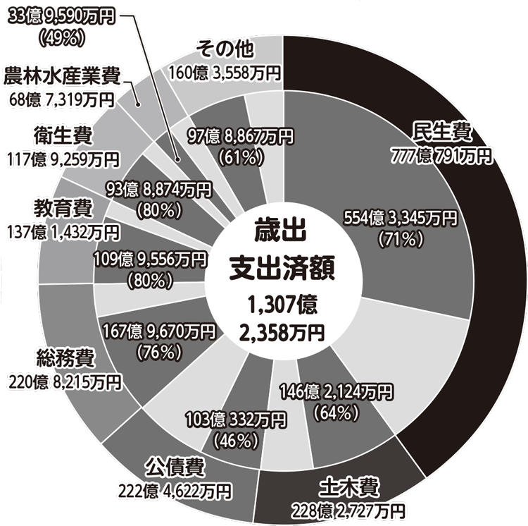 予算の執行状況　歳出その他内訳　グラフ