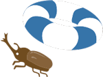 カブトムシと浮き輪のカット