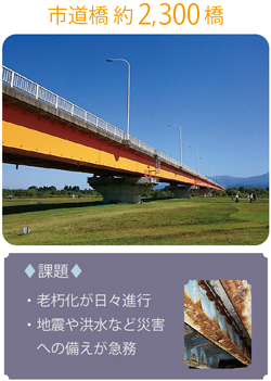 市道橋 約2,300橋