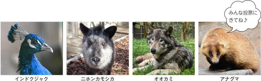 みんな投票にきてね♪
