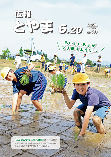 田んぼの学校 田植え体験