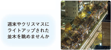 週末やクリスマスにライトアップされた並木を眺めませんか