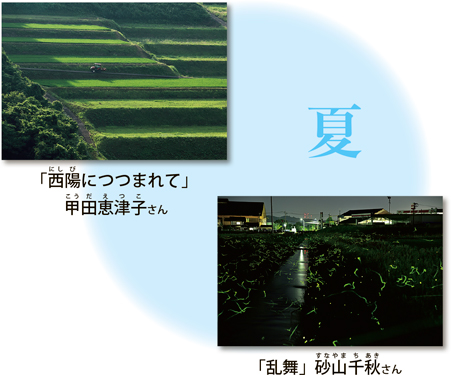 「西陽にしびにつつまれて」 
甲田恵津子こうだえつこさん

「乱舞」 砂山千秋すなやまちあきさん
