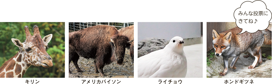 みんな投票にきてね♪