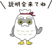 説明会来てね