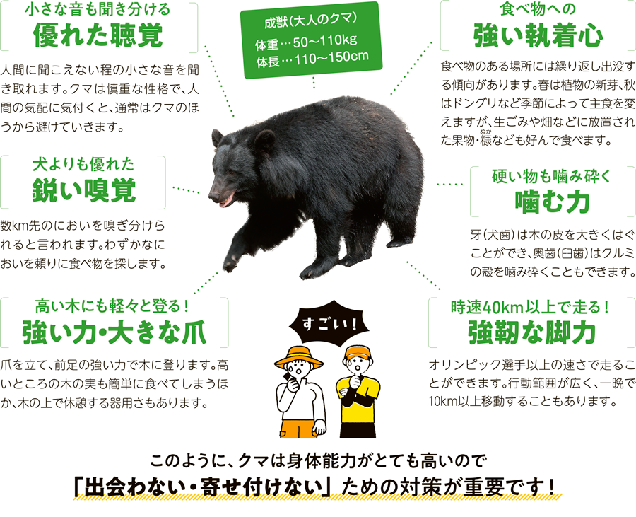 このように、クマは身体能力がとても高いので
「出会わない・寄せ付けない」ための対策が重要です！